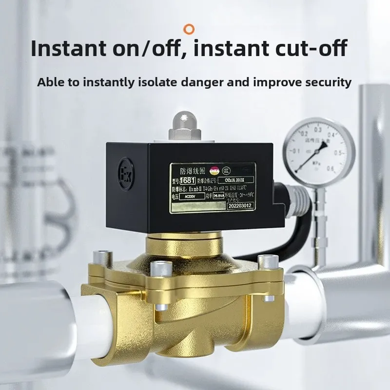 Explosion-proof Solenoid Valve Natural Gas Mine Water Valve Air Valve Control Pipeline Normally Closed Dn15 25 5012v220v24v
