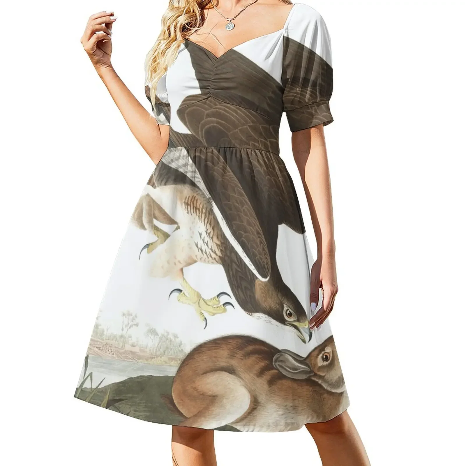 Swainson's Hawk - John James Audubon Sleeveless Dress Women's evening dress summer dress for women 2024 women's evening dresses