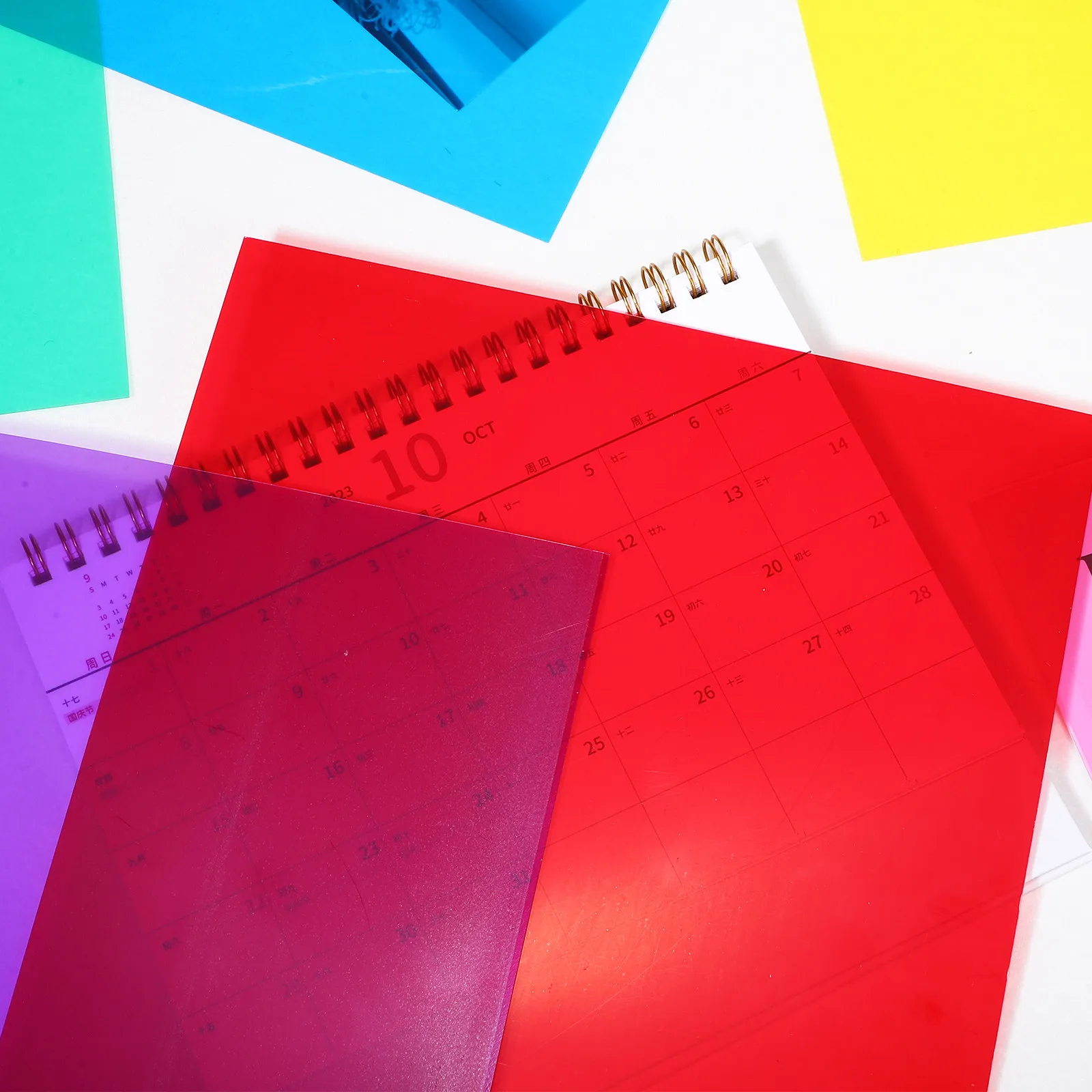 12Pcs Colored Pet F…