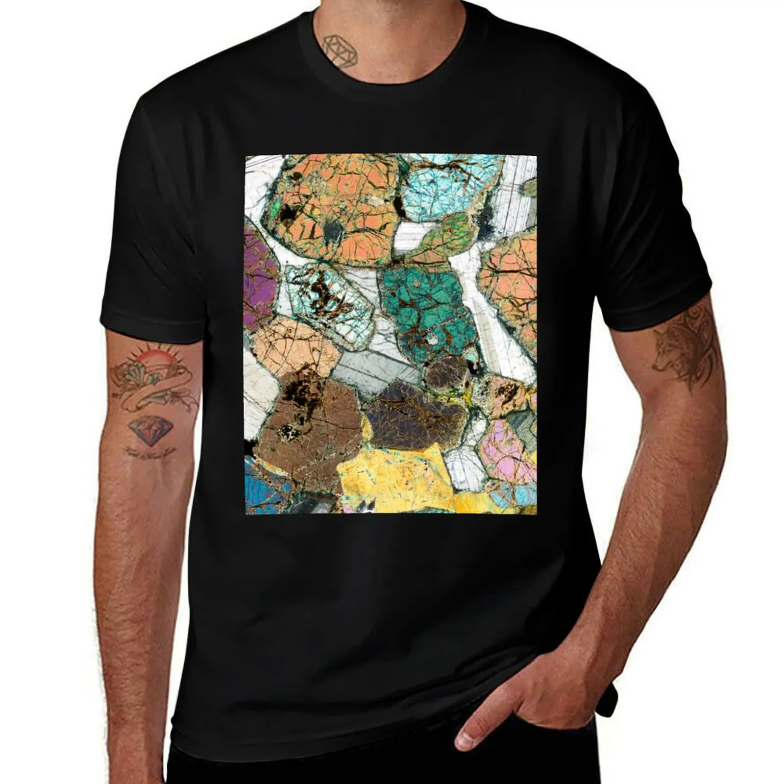 

Geology gift - Peridotite from Ardnamurchan, Scotland Rock Thin Section Microscope Photo T-Shirt