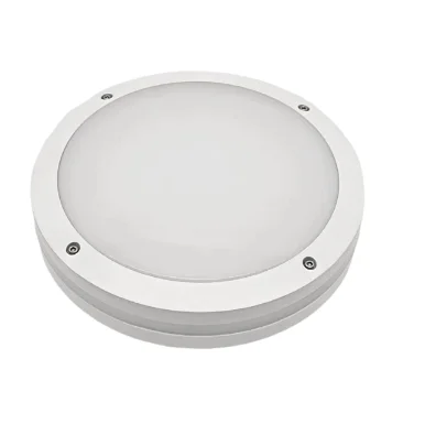 20W Round Top Aluminum Casting LED Tri-Proof Lamp White Outdoor Ceiling Lights
