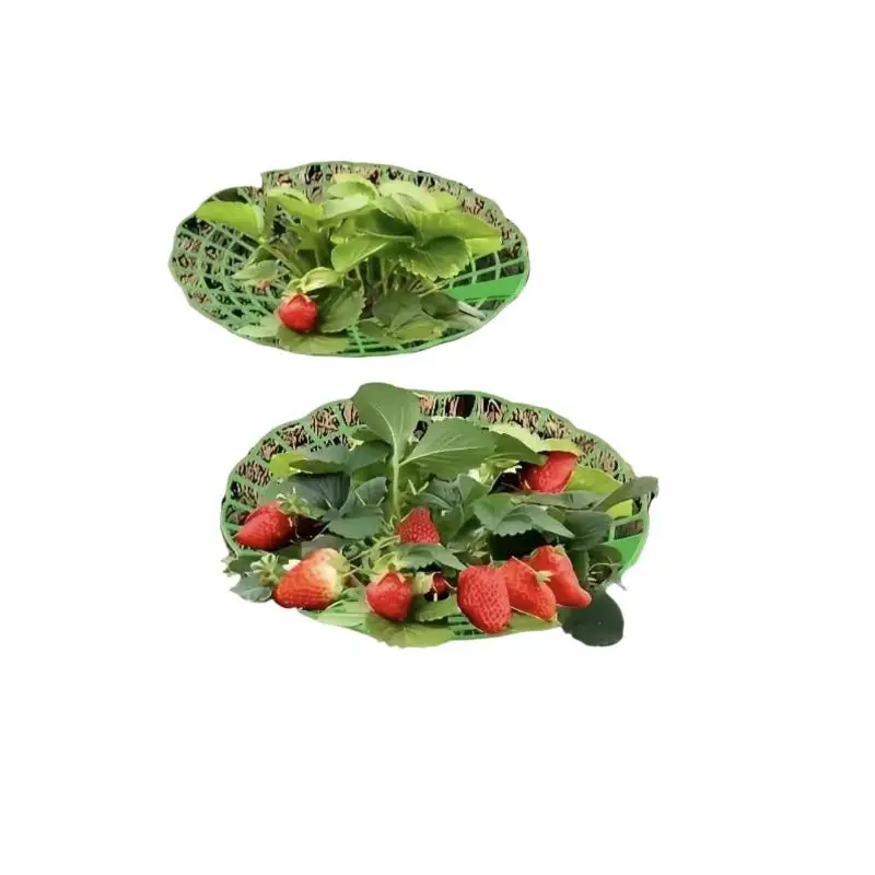 @*10Pcs Waterproof Strawberry Planting Rack 3-Legged Stable Watermelon Support Plant Protector for Yard Veggie Cultivation