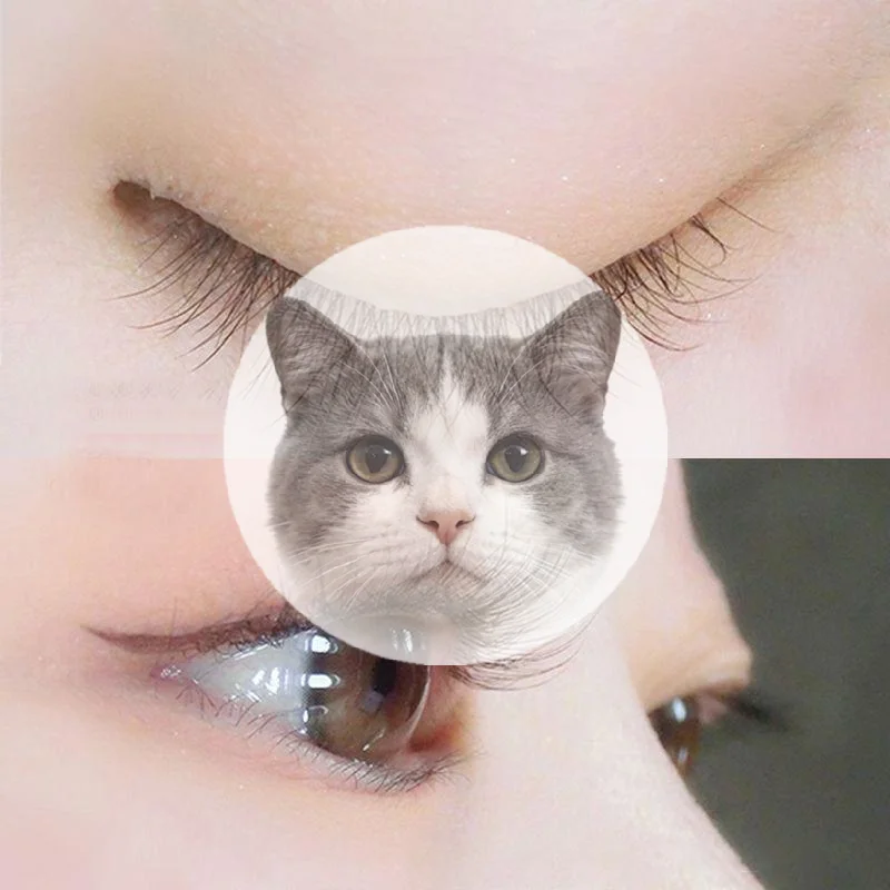 Eyelash Extension No 11 - 黒色の自己粘着式つけまつげ 優しい11-13MM DIYまつげエクステ アイメイク 接着剤不要 ナチュラルなつけまつげ