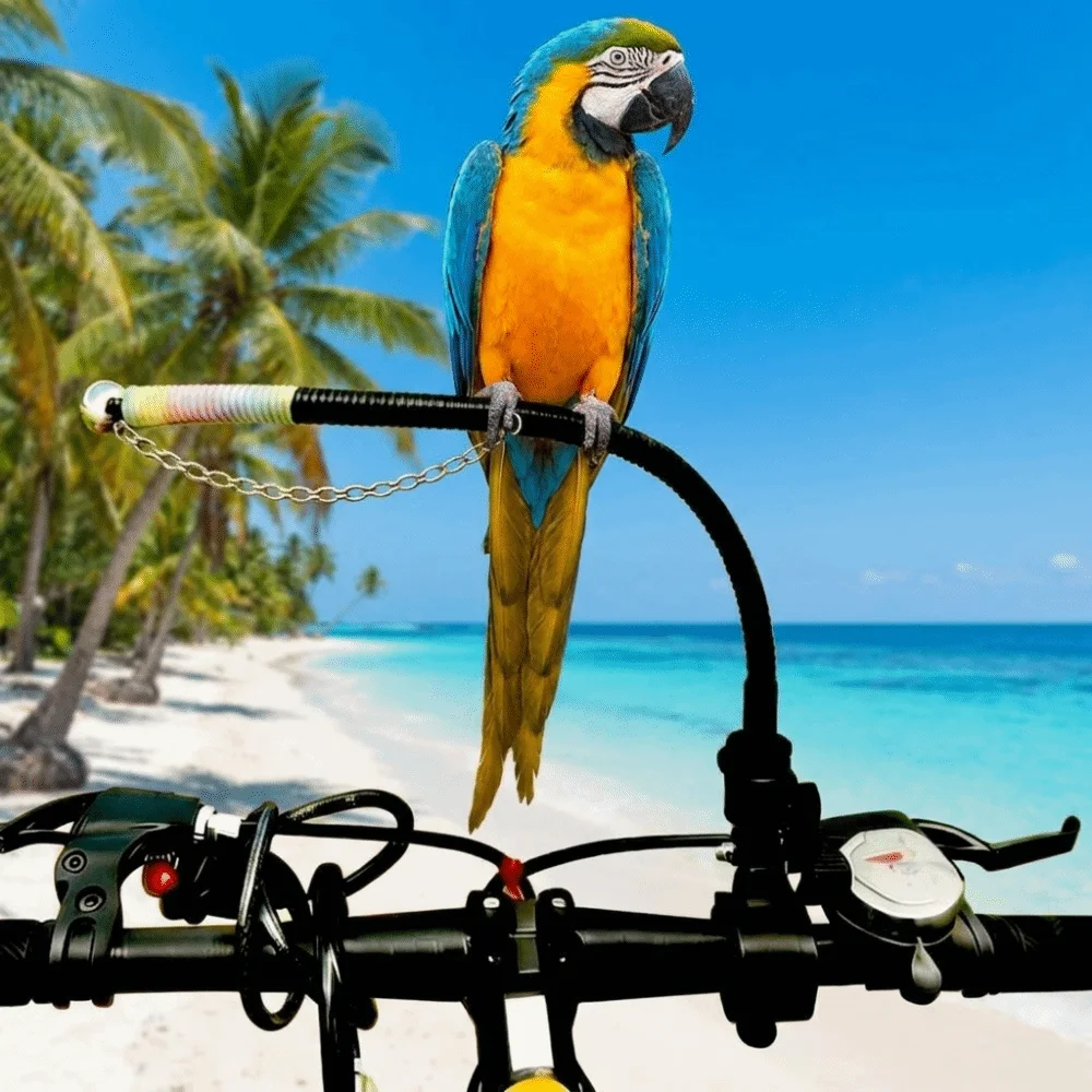 Adjustable Cycling Bird Rack Bendable Portable Parrot Perch Universal with Anti-Escape Chain Bird Perch Stand Outdoor