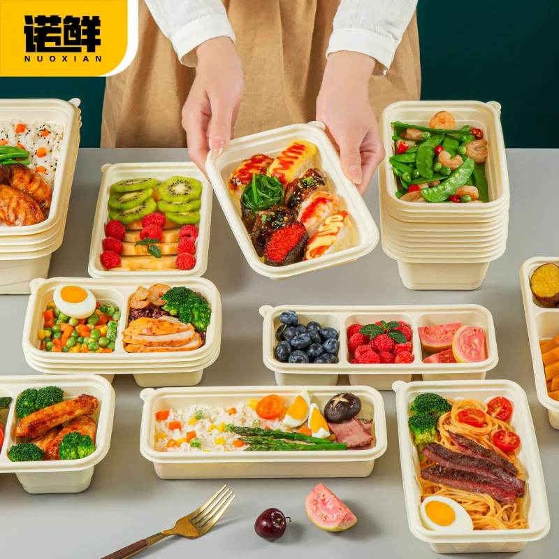 Custom Disposable Corn Starch Lunch Box Single/Double Compartment Rectangular with Lid Food Grade Takeaway Househol