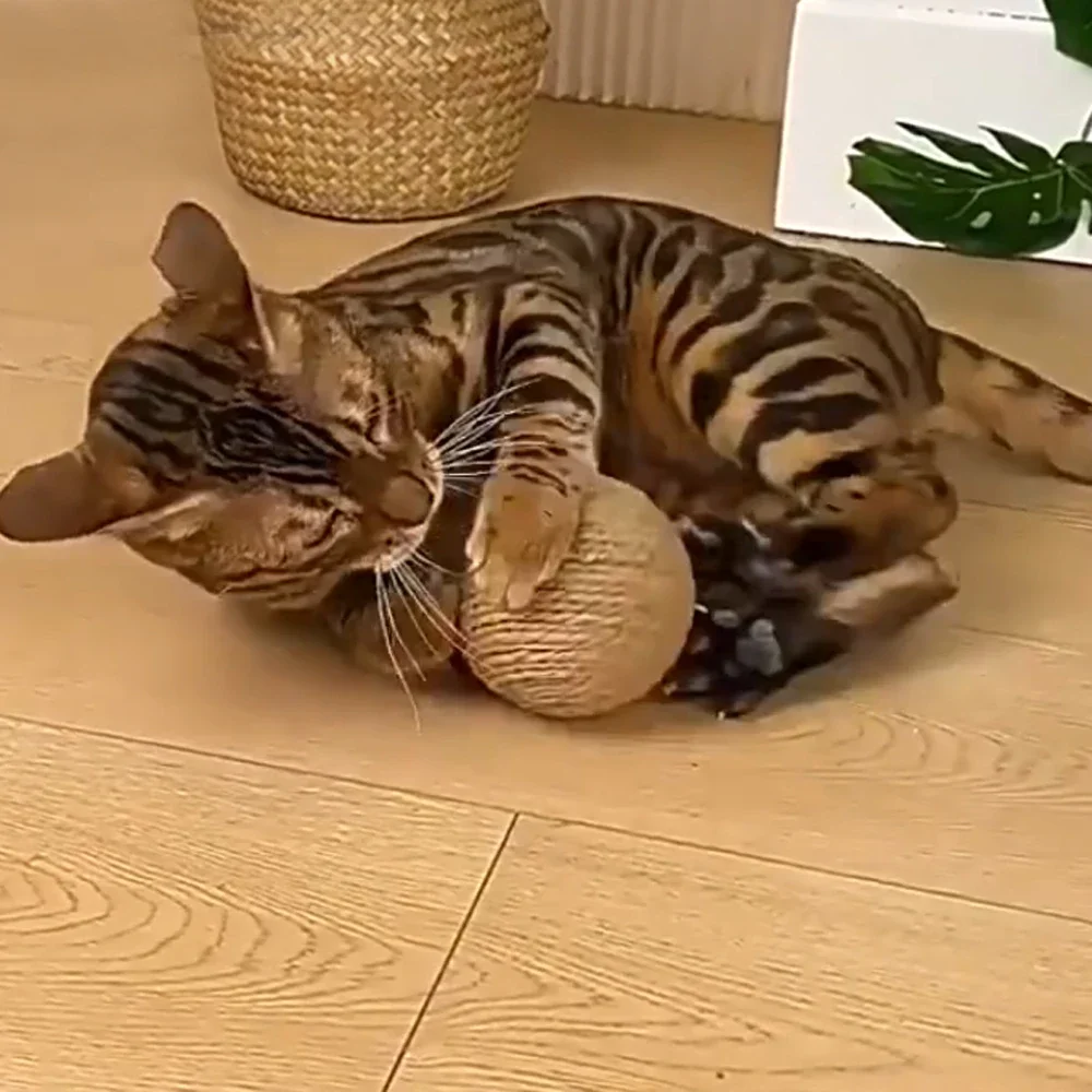 Interaktiver, großer, bissfester Kratzball für Katzen, Papierseil, Kauspielzeug für Kätzchen, Heimtierbedarf