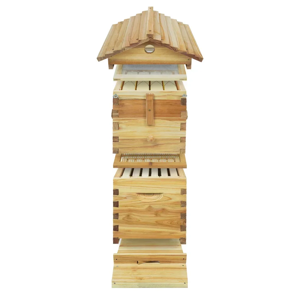 

Automatic Flowing Hive Beehive Complete Kit Bee Hives Boxes Starter Kit Wooden Beekeeping House Beehive Boxes Frame