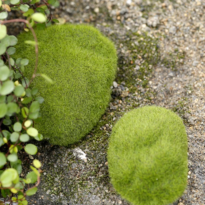 Piedras de musgo pequeñas para granja de hormigas, accesorios de decoración ecológica para nido de hormigas, herramienta para Decoración de casa de