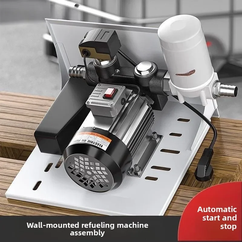 

2025 220 ВПневматические инструменты Всасывающий насос для бочонка Настенная сборка Автоматический запуск-стоп с фильтром Электрический насос 12 В 24 В