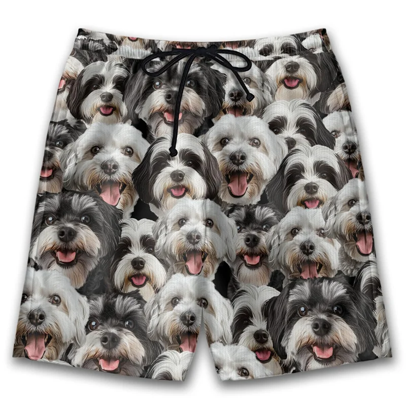 

Новинка 2023 года, забавные пляжные шорты с 3d принтом собачьих лица, мужские летние гавайские шорты, детские плавки, шорты с рисунком животных