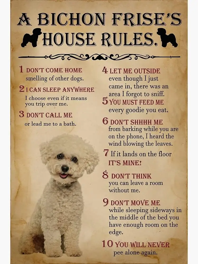 A Bichon Frise;s House Rules Dog Lover Home Coffee Music Wall Decor for Garage Decor metal tin sign