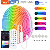 USB RGB Neon LED Strip 1M 2M 3M 5M WiFi 5V RGB Strip Work With Tuya App/Smart Life/Alexa for Game Home Neon Decor Lighting 1