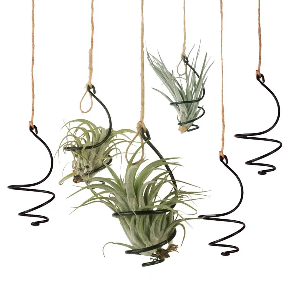 Soporte para clavel de aire, contenedor de Tillandsia colgante de Metal, soporte para clavel de aire giratorio ajustable para decoración de jardín, balcón, oficina en casa, 6 uds.