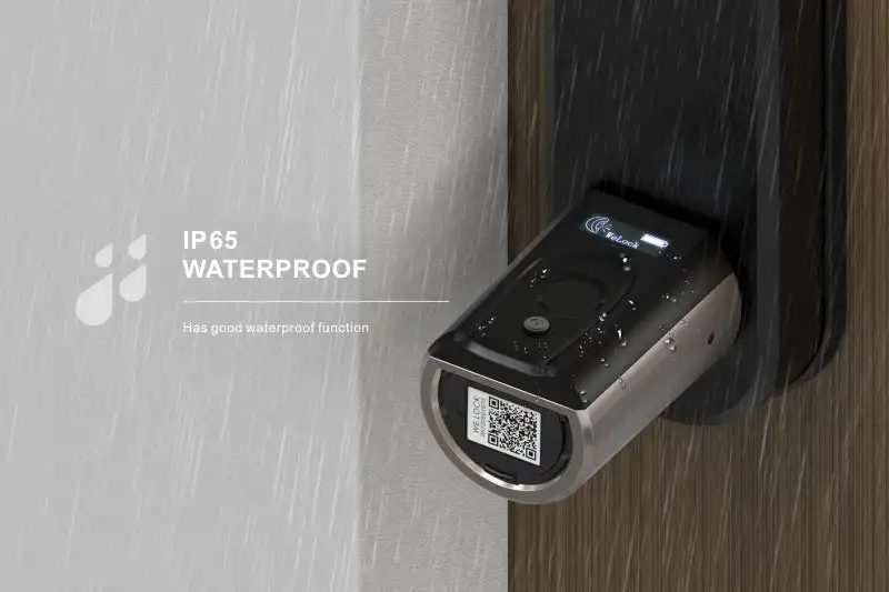 Sicurezza esterna impermeabile Impronta digitale biometrica Smart Lock Card Key Door Lock Controllo accessi app per smartphone Tuya