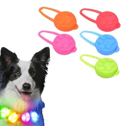 Collar con linterna LED colorida para perro y gato, colgante brillante, seguro para la noche, Collar de líder para mascotas, brillante, decorativo