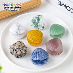 Cute 1pc Natural Gemstone Quartz Hand Carved Polished Shell Crafts Statue Crystal Conch Figurine Ornament Home Decor
