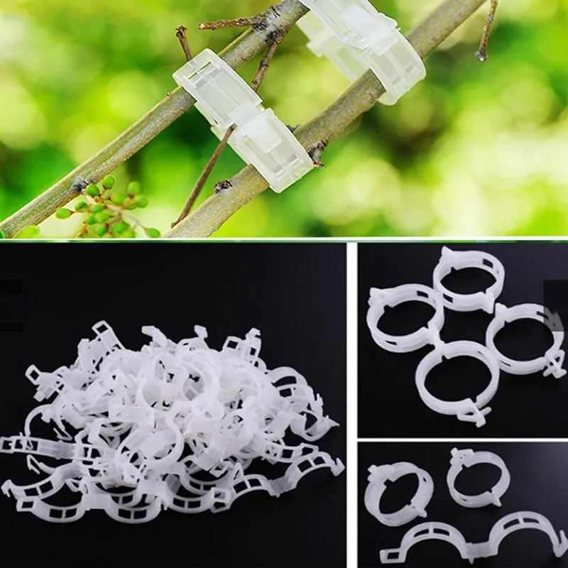 10-100pcs Plastic Plant Clips Supports Connects Reusable Protection Grafting Fixing Tool Gardening Supplies for Vegetable Tomato