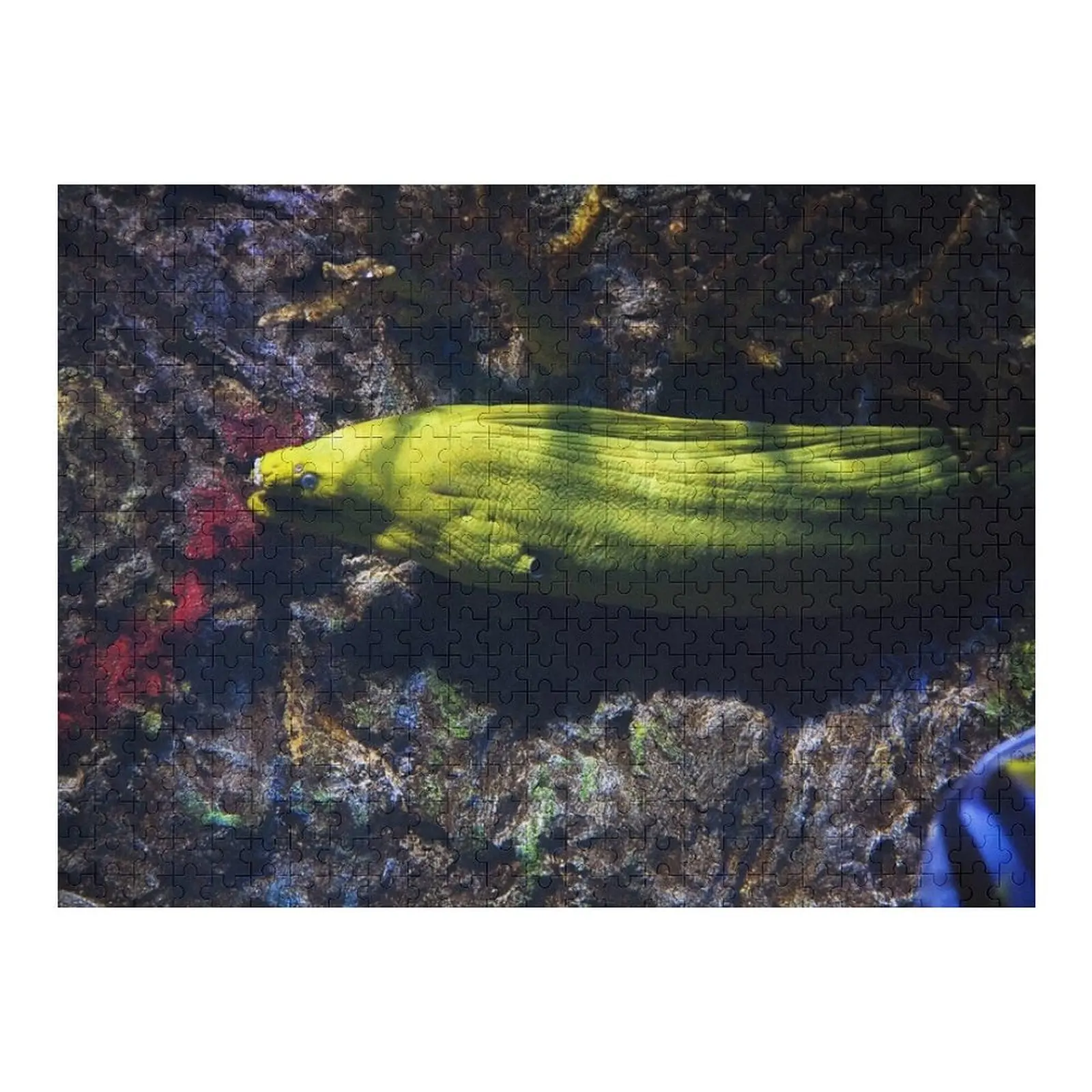 

Желтая Морская угора-пазл, деревянные весы животных, двигатели, рождественские подарки, пазл