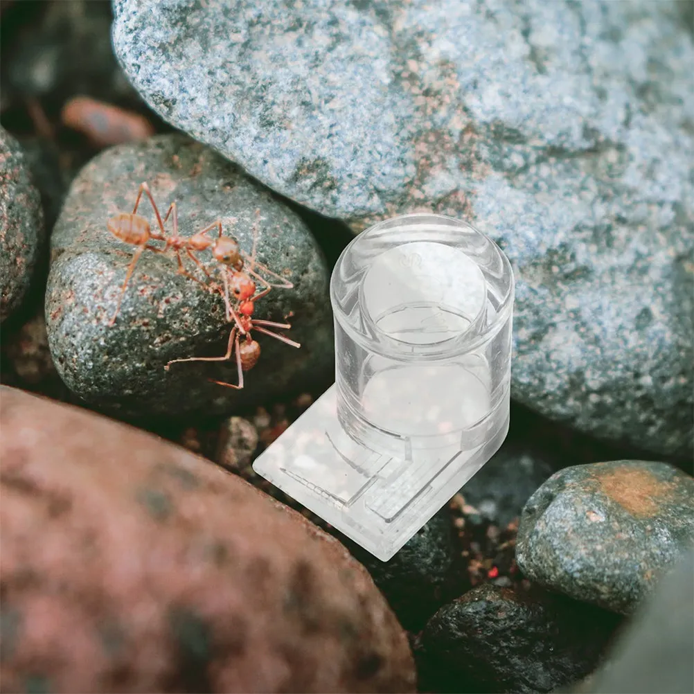 2 Piezas de Bebedero Transparente de Acrílico para Hormigas, Mini Dispensador de Líquido para Hormigas, Reptiles, Geckos, Lagartos, Tortugas y Mascotas Pequeñas