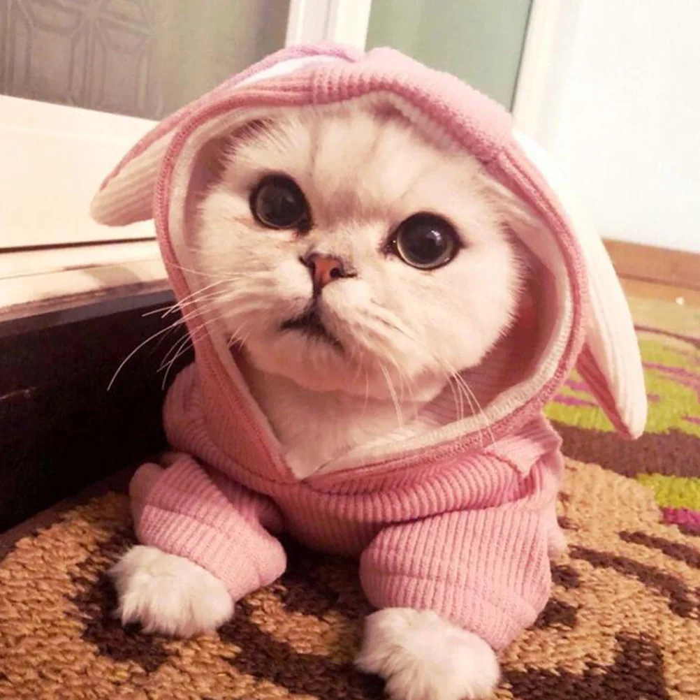 

Rabbit Ear Hoodie Pet Clothes Pink Size S Knitted Dog Costume Cute Puppy Outfit for Outdoor Party Pet Hoodie Dog Clothes