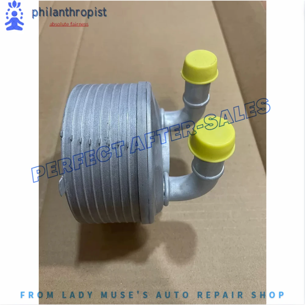 227571 3008408508 CK170131 Transmission Oil Cooler Heat Exchanger For Peugeot Citroen AL4 DP0 4 Speed Automatic