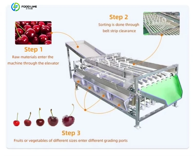 Automatic Fruit Avocado  Potato Tomatoes Dates Mango Garlic Grading Machine Vegetable Sorter Sorting Machine Support Customized