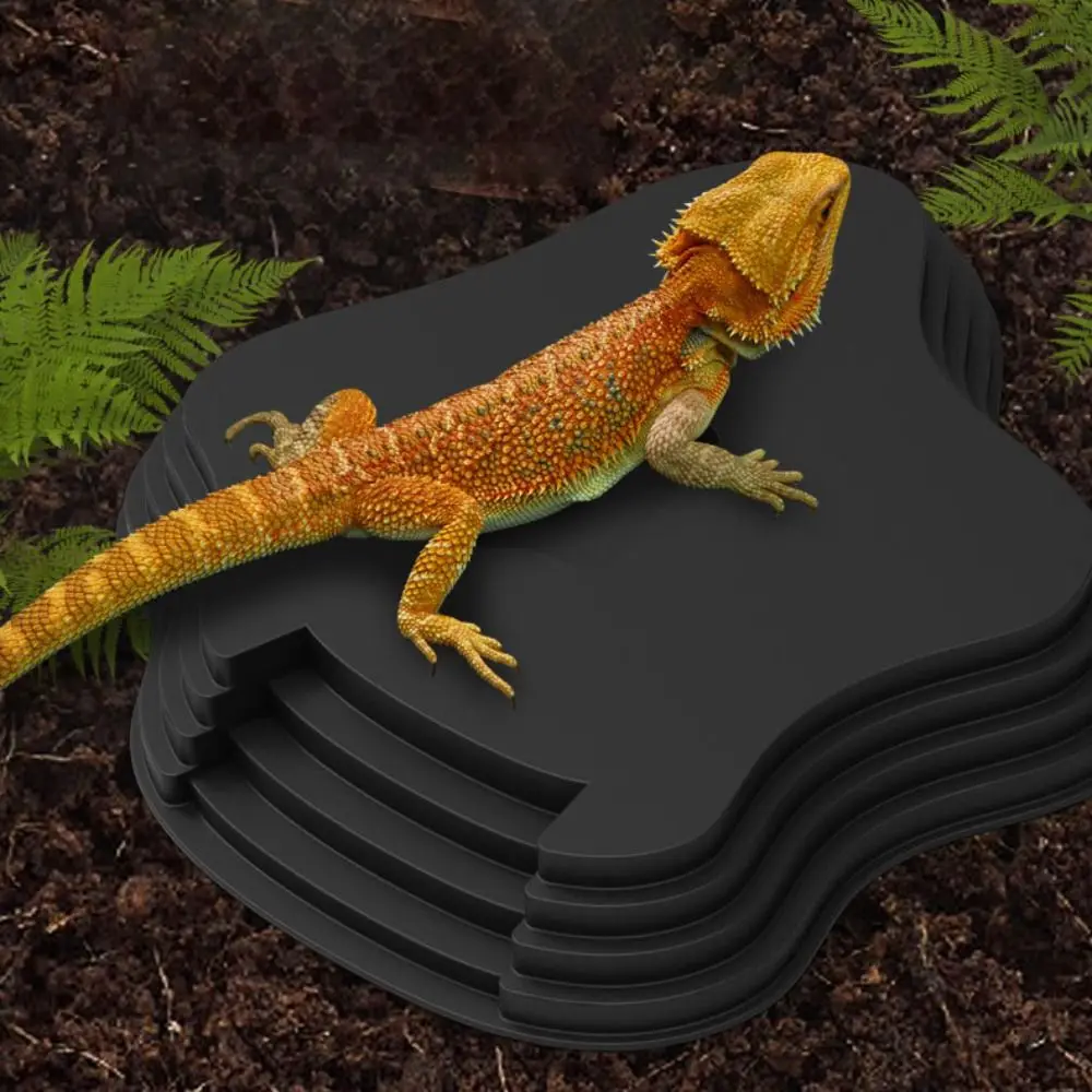 Stair Design Turtle Bathing Basin Anti-Slip Plastic Reptiles Water Basin Professional Large Size Amphibian Water Bowl Frog