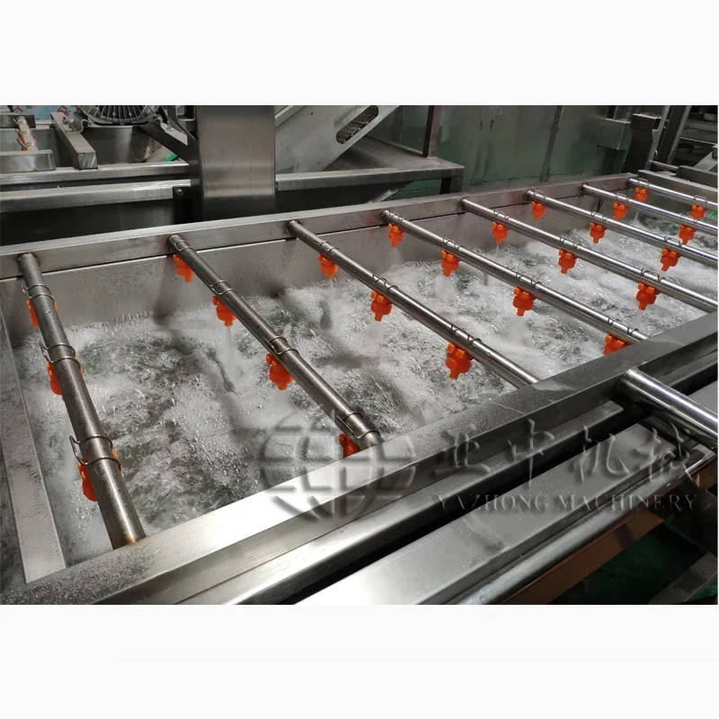 Carrot Cleaning Machine  Fruit Washer Dates Strawberry Washing Machine Vegetable and Fruit 220v/380v YZQP-2500 400