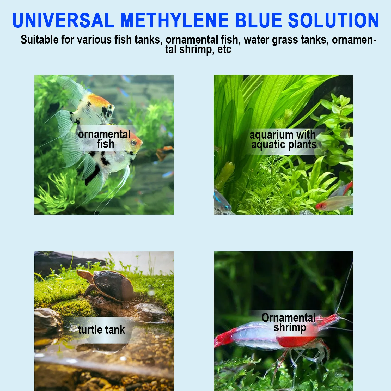 น้ำยาเมทิลีนบลูสำหรับบำบัดปลาใ - Aquarium Fish Medicine บทวิจารณ์และราคา