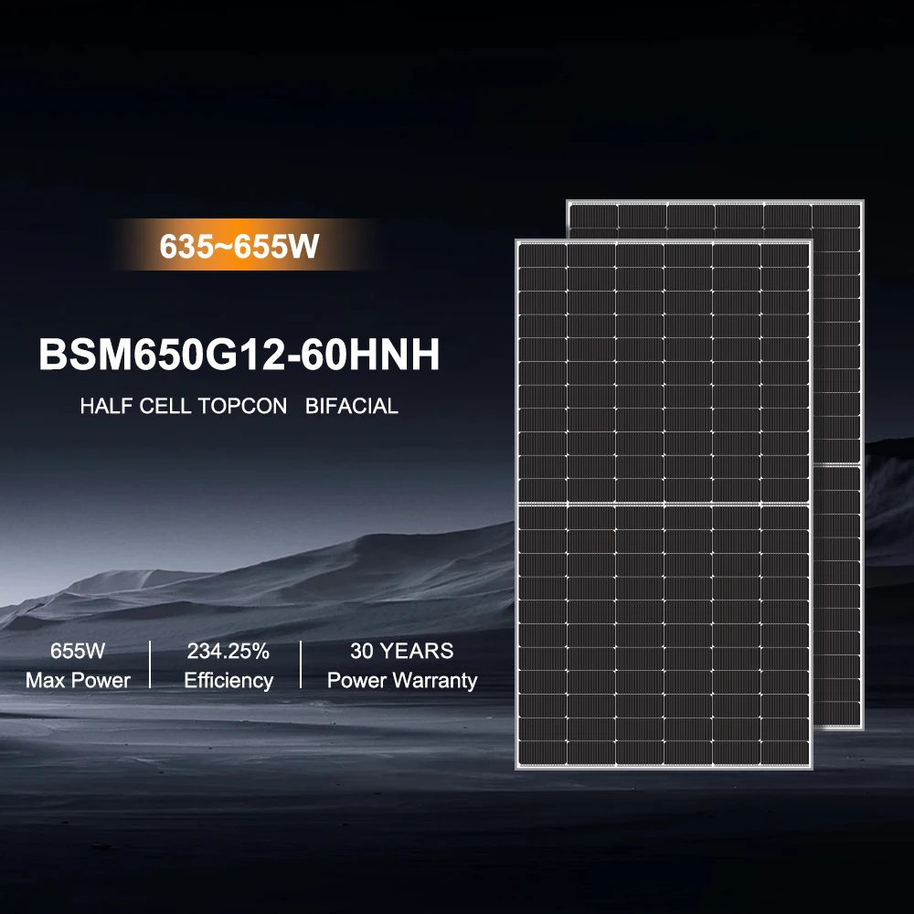 Cheap Price 650W Solar Panel for Home Use Bifacial N Type ’TOPCON High Efficiency 1500V System Easy Installation