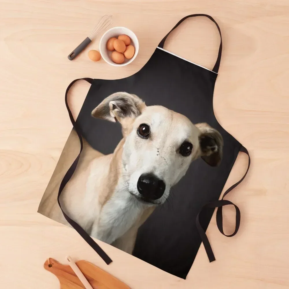 Handsome fawn greyhound photo Apron Women's Dress kitchen gadgets Apron