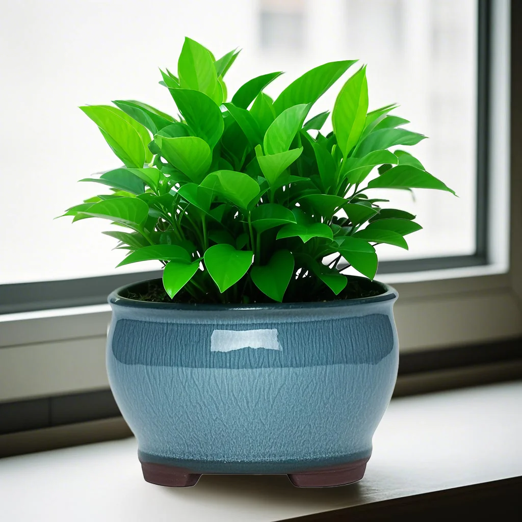 Ceramic Garden Planter Pots Ceramic Plant Pots with Drainage Holes for Indoor Flowers Cactus Herbs Aloes view 3