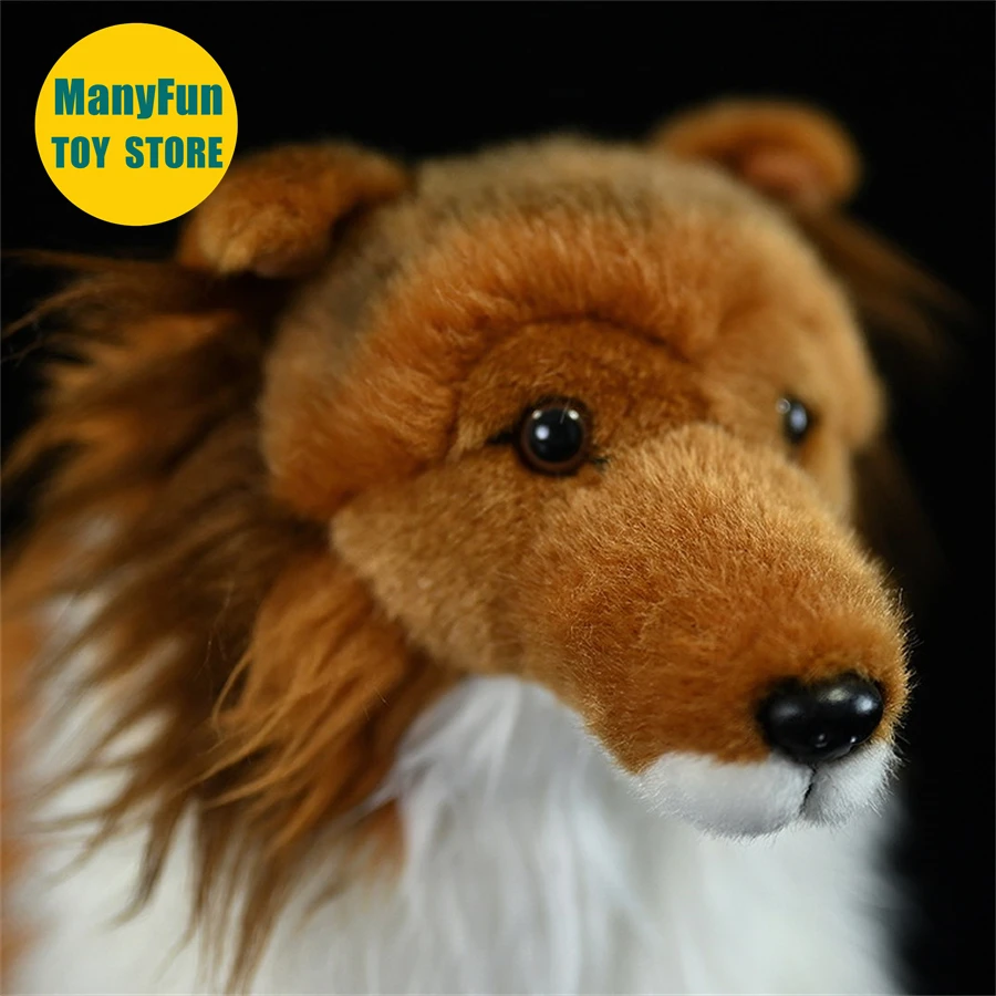 Realistische Sheltie Hond High Fidelity Shetland Herdershond Plushie Ruwe Collie Knuffels Levensechte Dieren Simulatie Knuffels