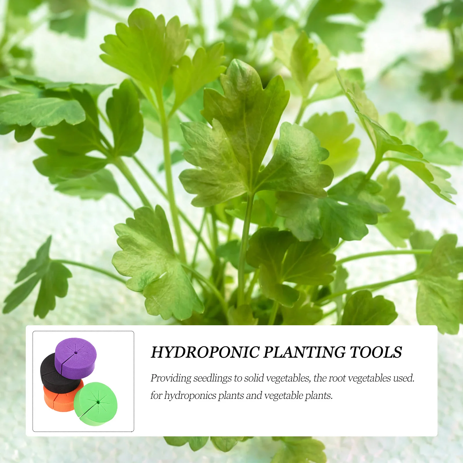

40Pcs Hydroponic Planting Cotton Eva Soilless Cultivation Cushion Root Growth Tools for Vegetable Seedlings Gardening Accessory