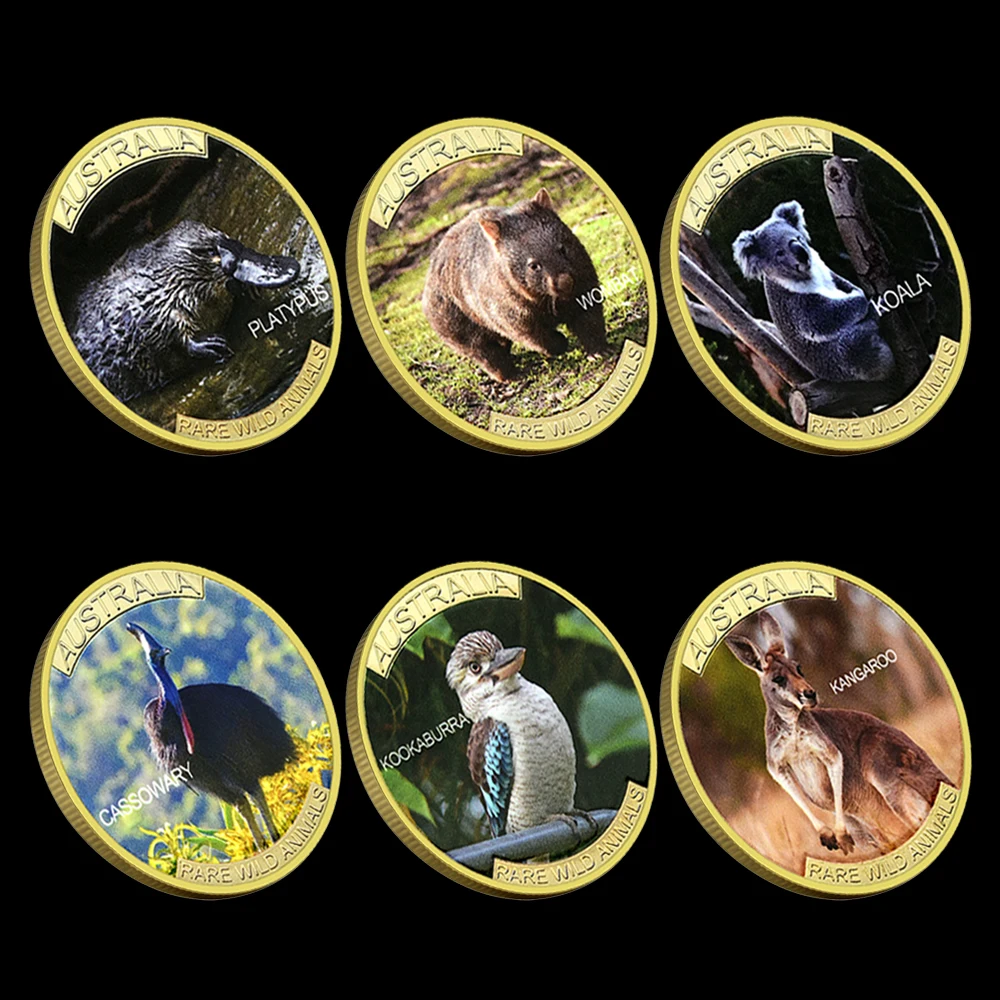 6Pcs Australia Rare Wild Animals Commemorative Challenge Coins Set Koala Kangaroo Platypus Wombat 40mm Collectible Medals