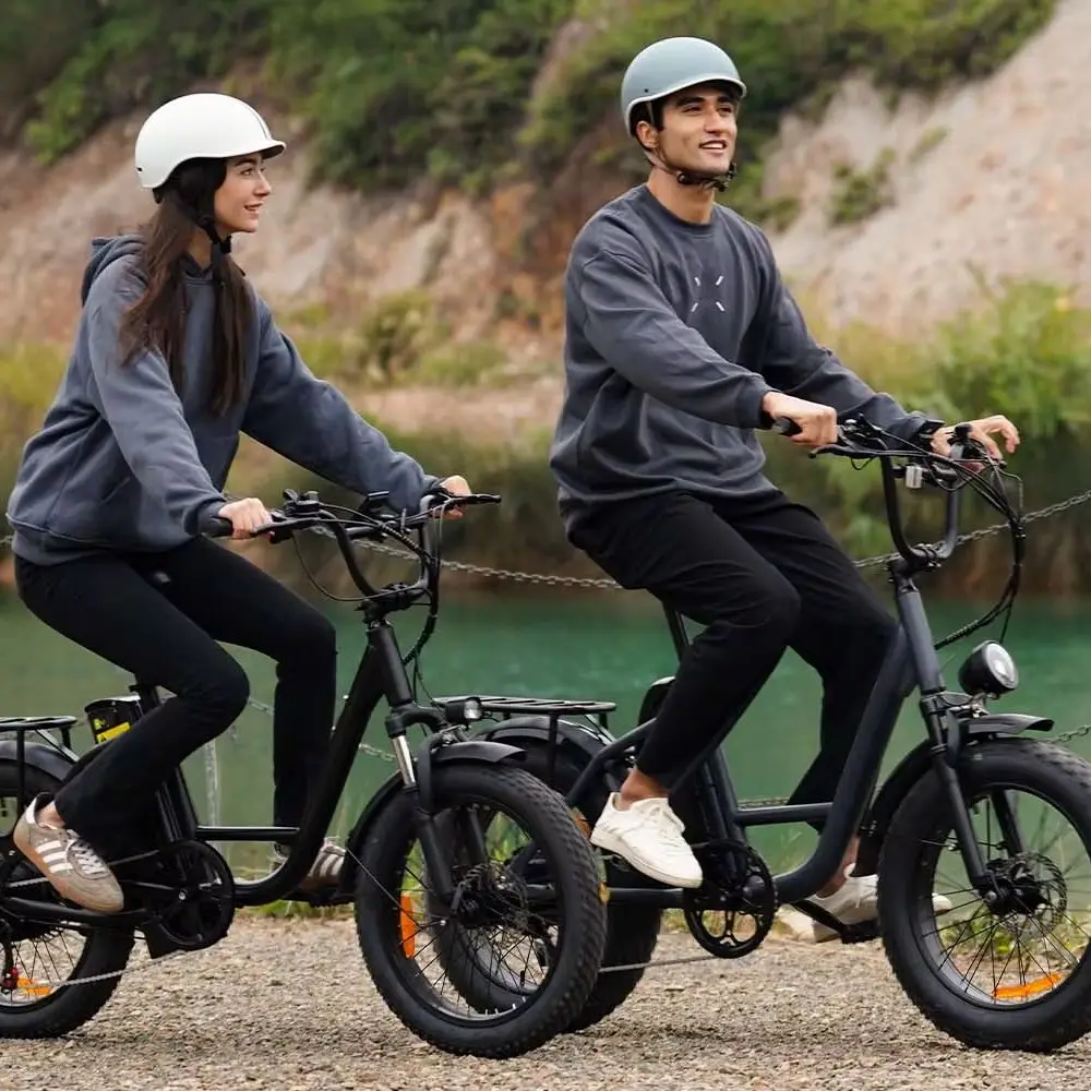 URLIFE E20PRO Erwachsenen-Elektrofahrrad E-Bike 48V 15,6AH Akku 20*4 Zoll Fatbike Allterrain-Elektrofahrrad
