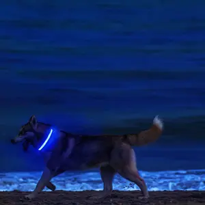 Toua seçim xs / m, köpek tasması şarj edilebilir usb ışık ışıkları, köpek tasması led ayarlanabilir gece lambası güvenlik, yumuşak, yanıp sönen evcil hayvan malzemeleri Scooby doo köpek tasmasındaki 6 büyük satış-no. 2