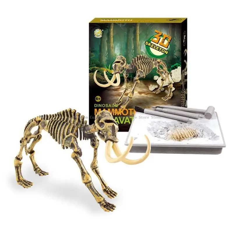 Kits excavación científica, dinosaurio para fósil, juguete, juego interacción entre padres e hijos