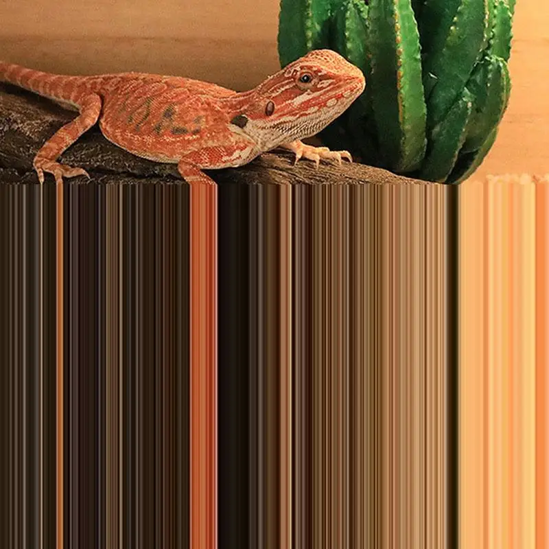 Thumbnail 3 - #16 Compare Small Animal Habitats & Cages Before You Buy