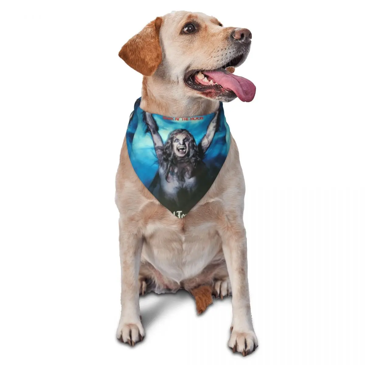 Ozzy Osbourne Pet S… - image