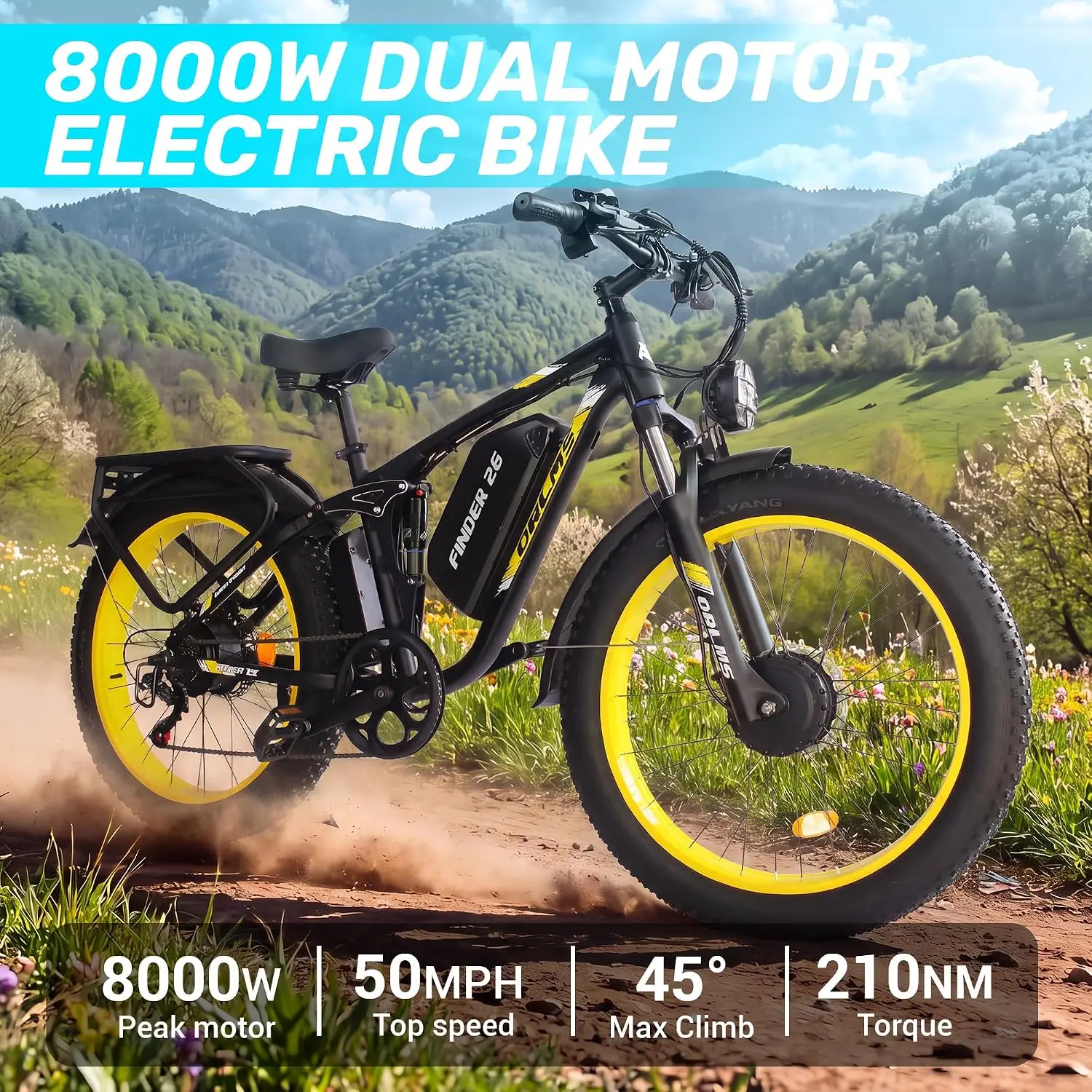 Dual Motor Electric Bicycle 60V 25Ah Removable Battery Adults Mountain Commuting E-Bike, Customized