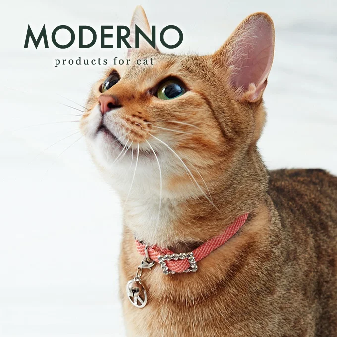collar-necosekai-con-diamantes-simulados-diseno-fino-accesorios-para-mascotas-correa-marca-japonesa-accesorios-para-paseos