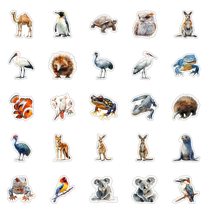 50 قطعة الكرتون أستراليا الكنغر كوالا الكتابة على الجدران ملصقات DIY بها بنفسك الزخرفية الغيتار خوذة الدراجة البخارية محمول مقاوم للماء الشارات الاطفال اللعب