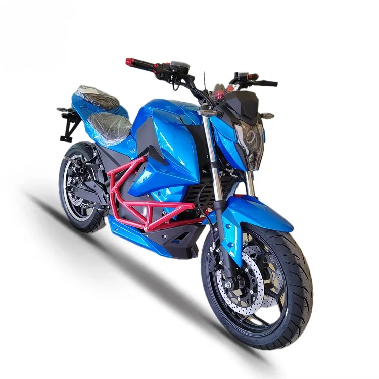 Premium Sports Electric Motorcycle Brushless High Torque Motor Waterproof Wiring Daily & Long Trip E-Motorcycle