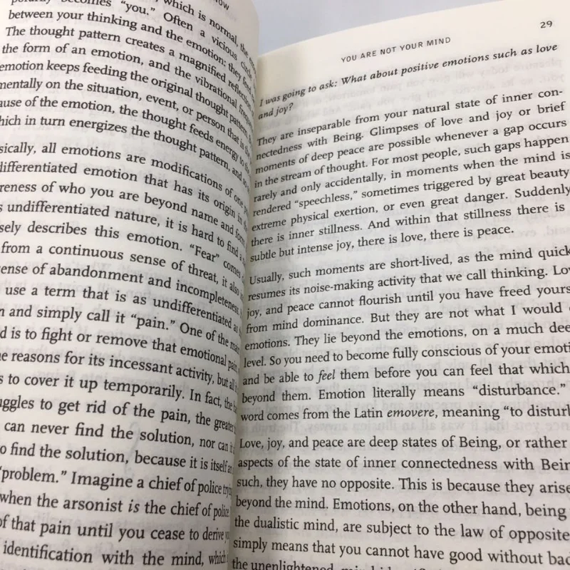 Книга The Power of Now от Eckhart Sound, руководство по духовному просвещению, книга на английском языке, Молодежная книга для вдохновения успеха и мотивации