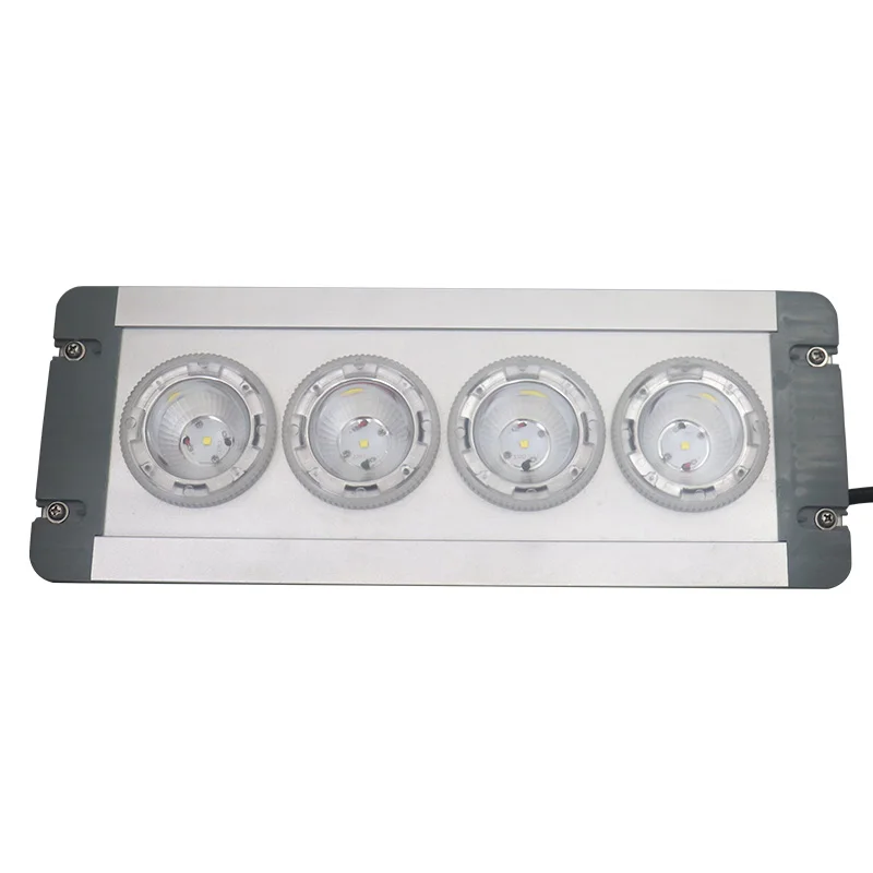 LBD9121E  ip65 Emergency Ceiling Light Emergency Flood Light Tunnel Light Workshop