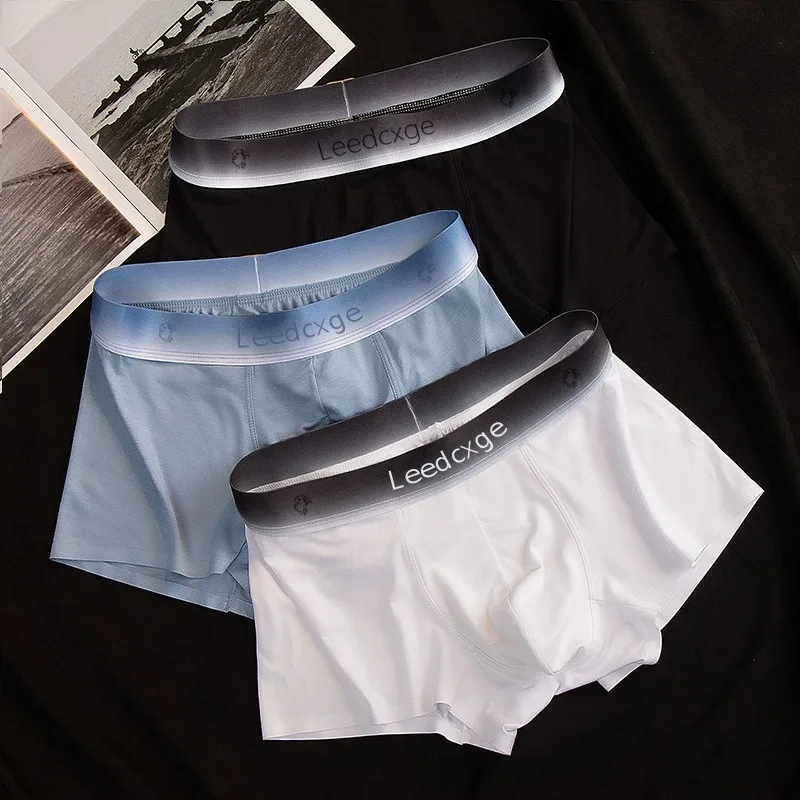 Summer Men Boxers Ice Silk Seamless Panties Ultra-thin Gradient Color Underpants Breathable 4 PCS Set Slip Silk Panties Men