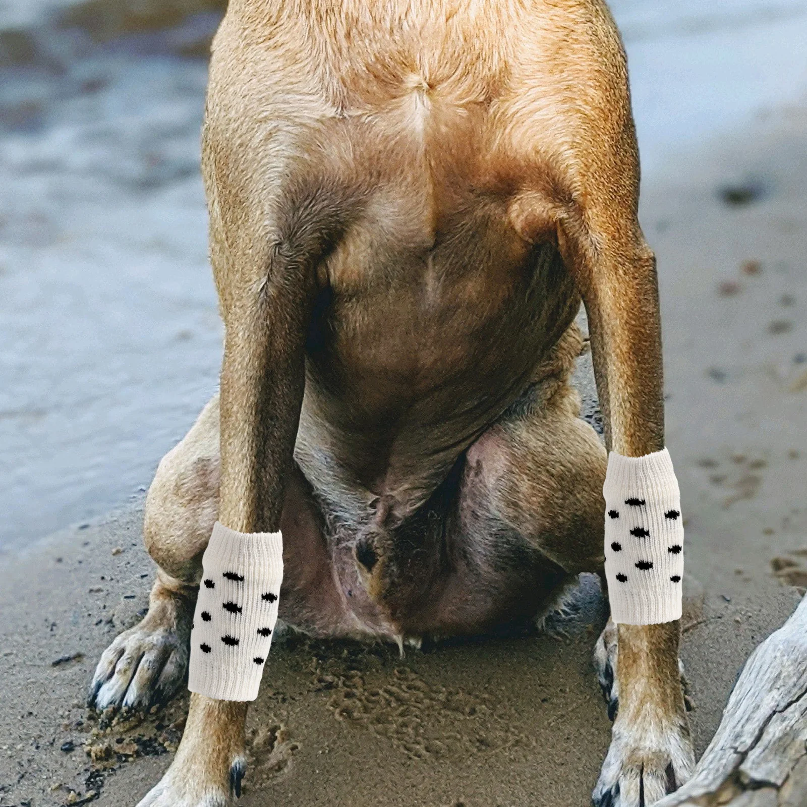 

4 Pcs Anti-dirty Leggings Cover Dog Socks to Prevent Scratching Pet Outdoor for Dogs Wraps