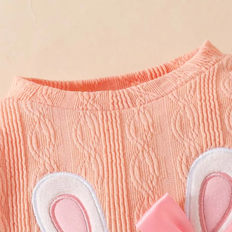 Roupas de bebê para meninas Conjunto de bebê para crianças Conjunto de roupas de bebê com bordado de coelhinho e manga comprida Top de cor sólida Calças para bebês de 1 a 2 anos de idade