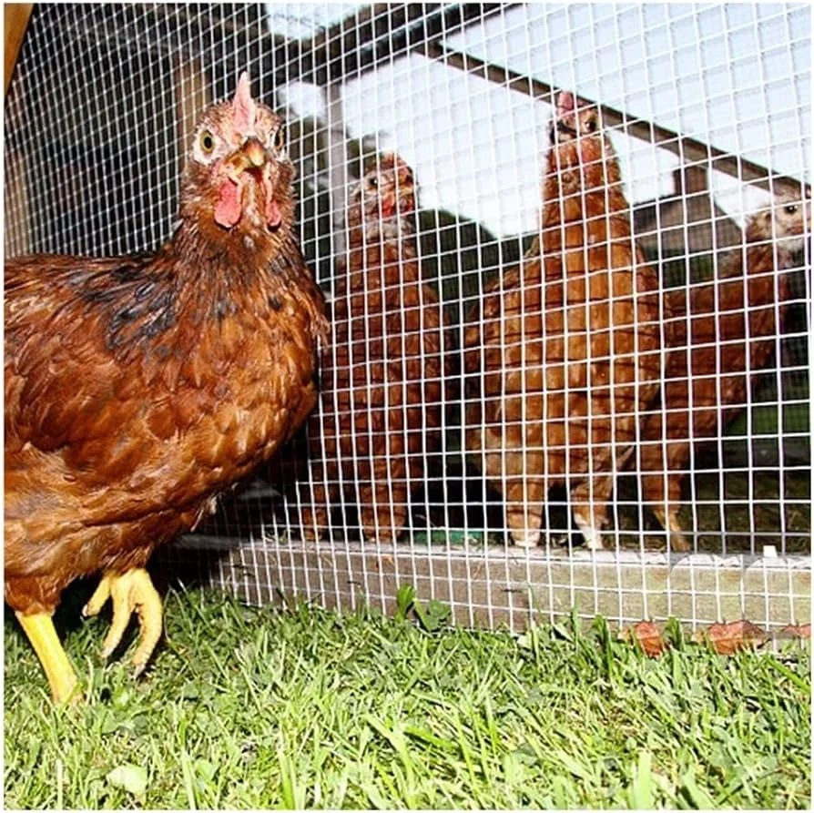 

Five-Star Metals Black Vinyl Pvc Coated Chicken Electric Poultry Netting Farm Shade Net Made in China